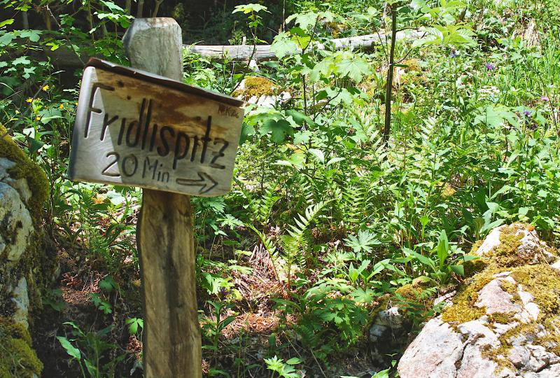 Bald am Ziel: Wegweiser zum Fridlispitz