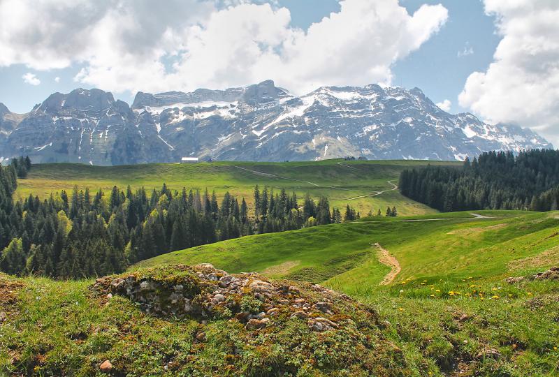 Scheidegg-Überblick mit Säntis als Appenzell-Wahrzeichen