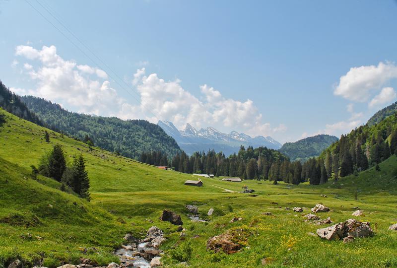 Thurwis: Die Churfirsten ganz weit weg