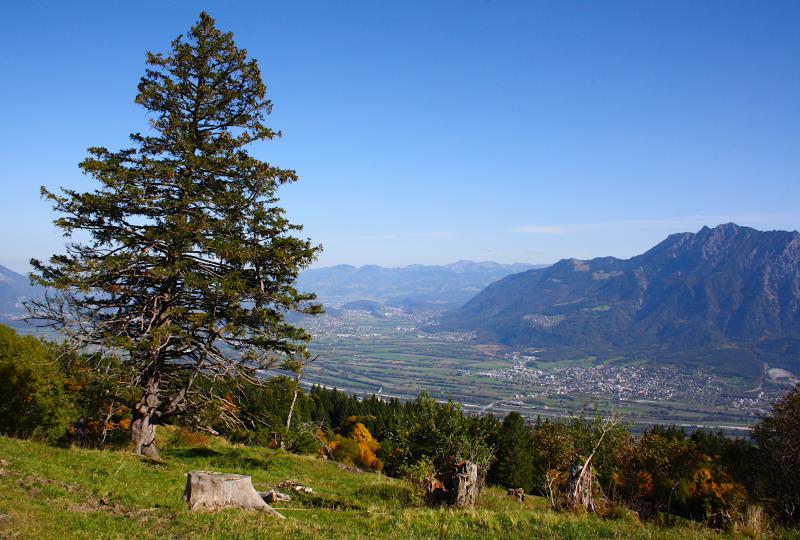 Buchserberg: Rheintal und Liechtenstein im Blick