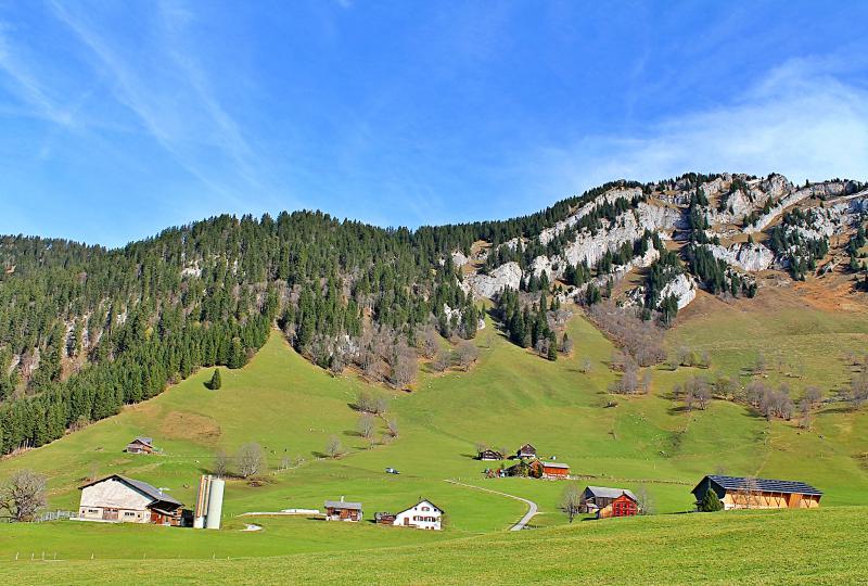 Auf der Hochebene Mullern oberhalb Mollis auf 1200 m.ü.M