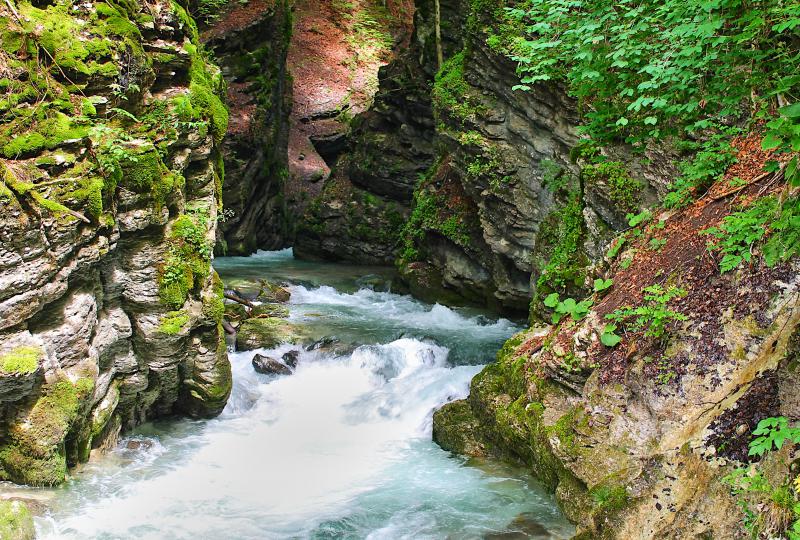 Vor dem tosenden Wasserfall: Die Säntisthur rauscht durchs Tobel