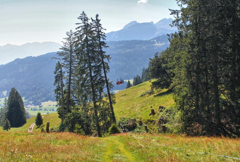 Die Alternativen von Wildhaus nach Gamplüt: Wandern oder Gondelbahn