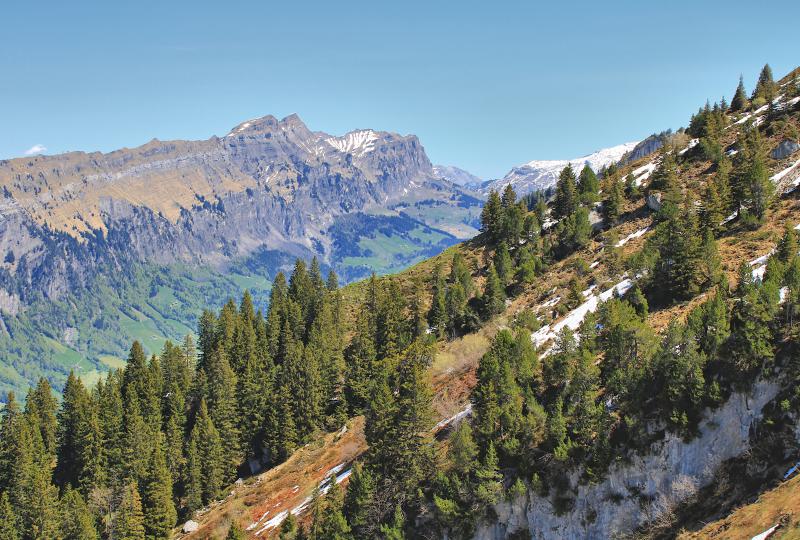 Unter dem Oberen Färlen: Blick auf die Alp und den Gebirgszug Goldplangg