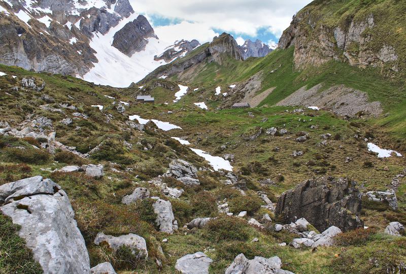 Murmeltier-Paradies Oberchellen: Der Hiker wird mit gellenden Pfiffen enttarnt