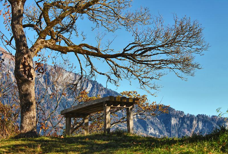 Sitzbank auf dem Burggelände von Wartenstein: Früher war hier eine Mauer