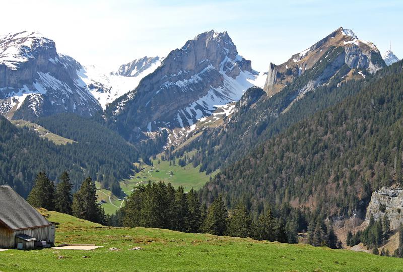 Aufstieg zum Hohen Kasten: Blick Richtung Widderalp und Alpsteingebirge