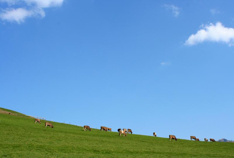 Appenzell: Das geschwungene Land