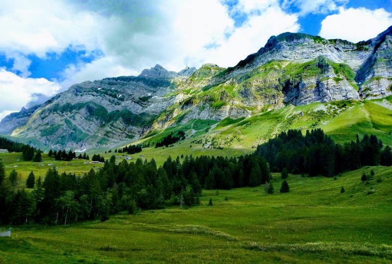 Schwägalp (downhill Richtung Neu St. Johann)